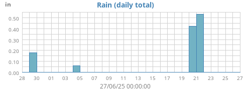 Rain